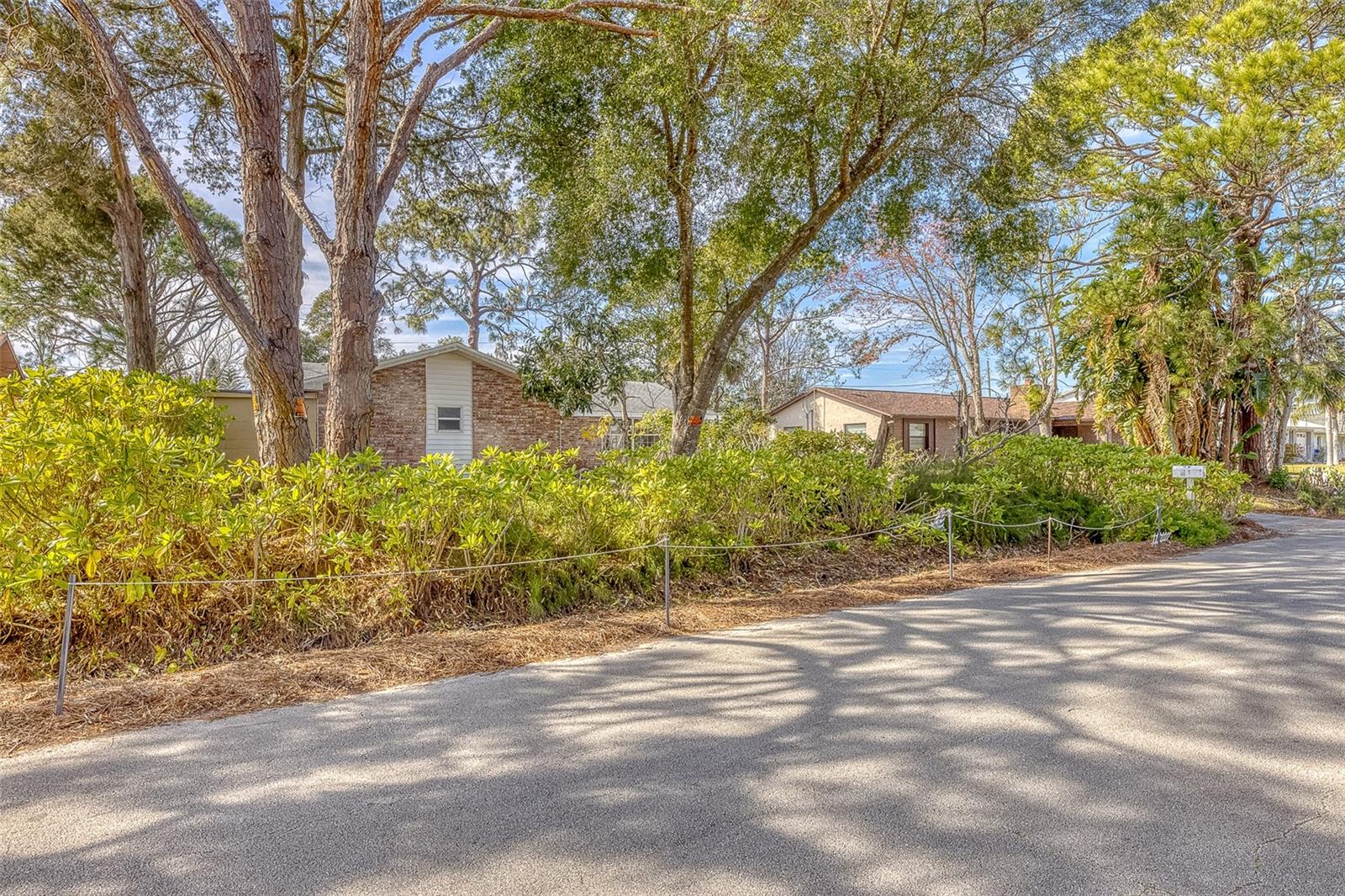 3120 PINE TREE DR, EDGEWATER, FL, 32141