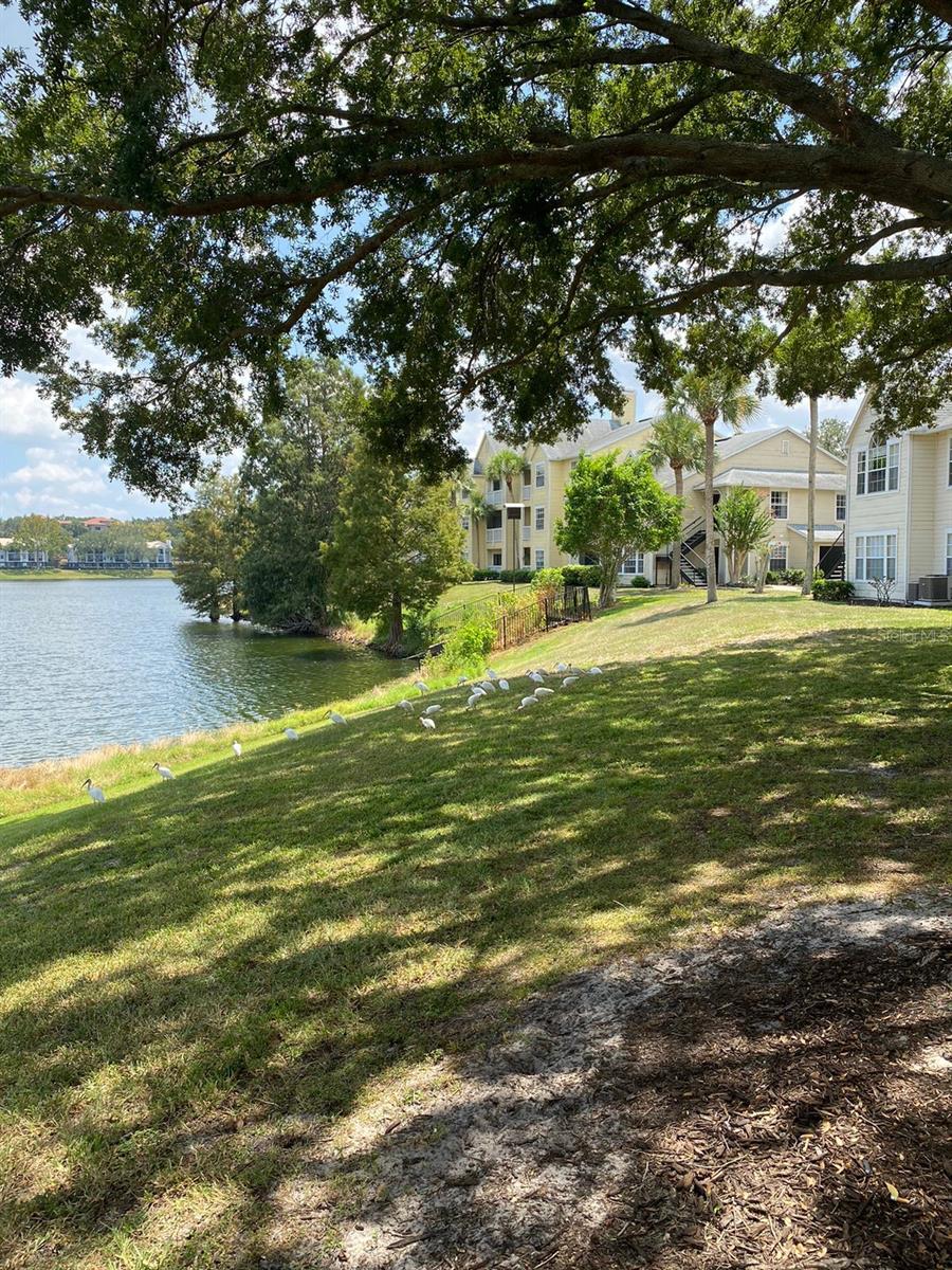 1061 S HIAWASSEE RD #1712, ORLANDO, FL, 32835