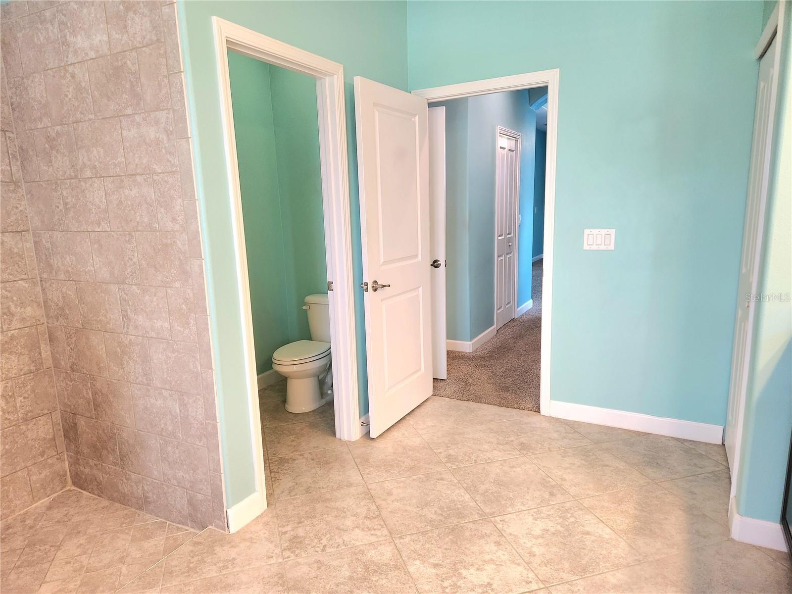 5011 JAGGED CLOUD DR, WIMAUMA, FL, 33598