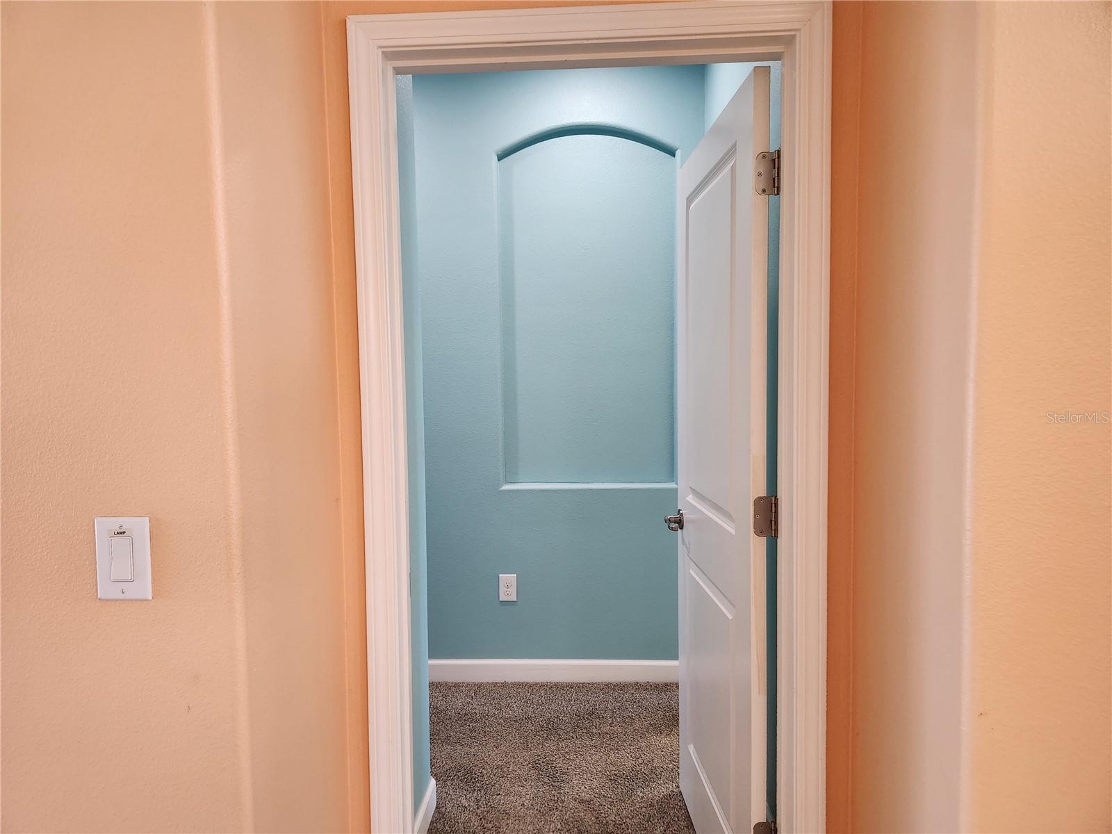 5011 JAGGED CLOUD DR, WIMAUMA, FL, 33598