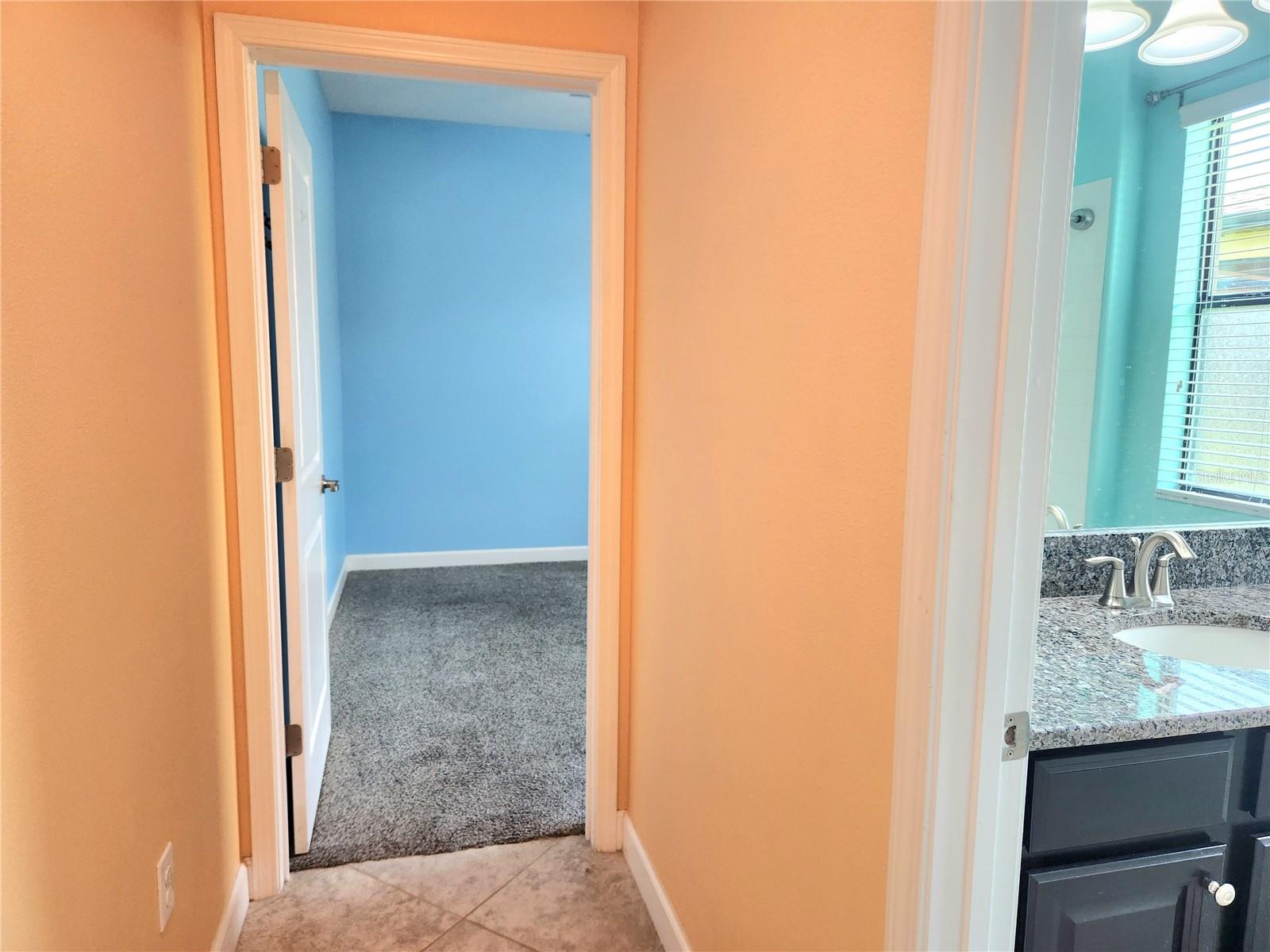 5011 JAGGED CLOUD DR, WIMAUMA, FL, 33598