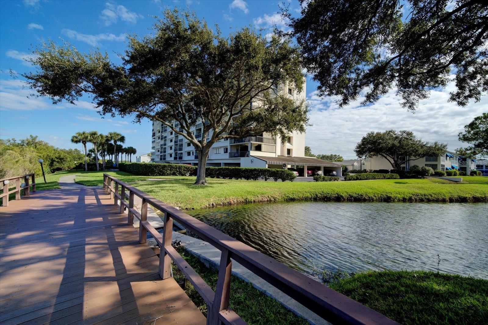 11730 SHIPWATCH DR #702, LARGO, FL, 33774
