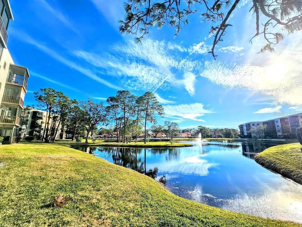 6188 80TH ST N #402, ST PETERSBURG, FL, 33709