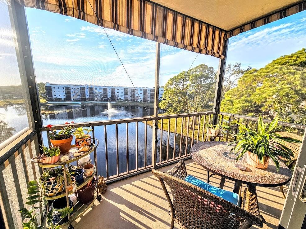 6188 80TH ST N #402, ST PETERSBURG, FL, 33709