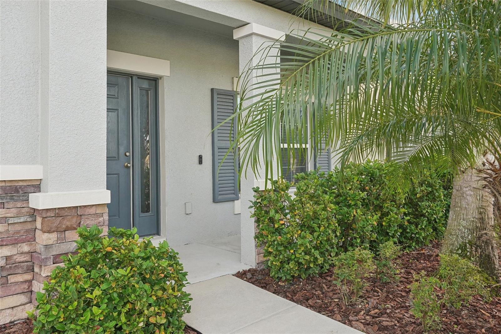 6658 DUTTON DR, WESLEY CHAPEL, FL, 33545