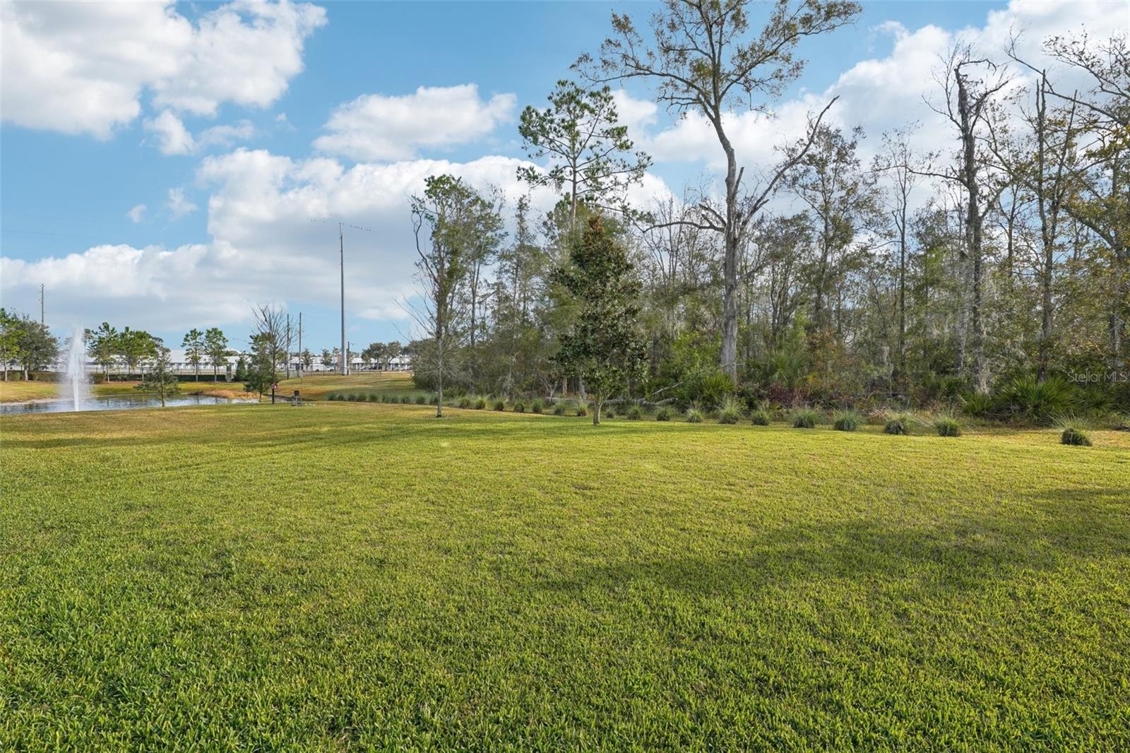 6658 DUTTON DR, WESLEY CHAPEL, FL, 33545