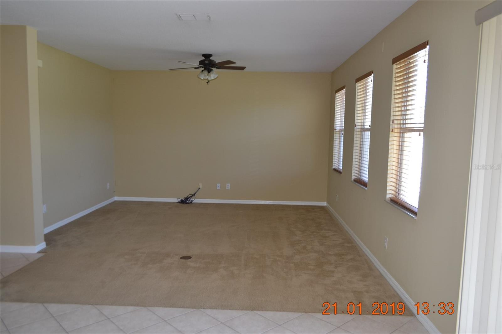 11207 MADISON PARK DR, TAMPA, FL, 33625