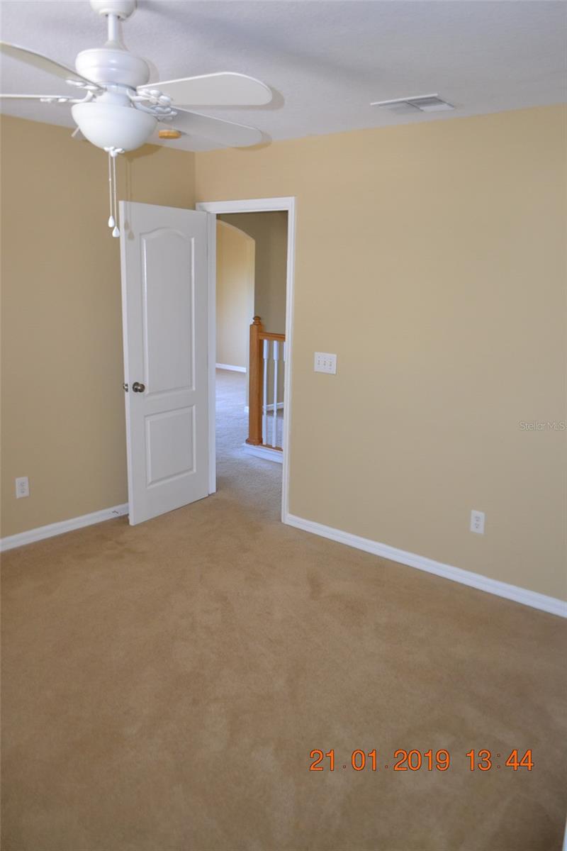 11207 MADISON PARK DR, TAMPA, FL, 33625