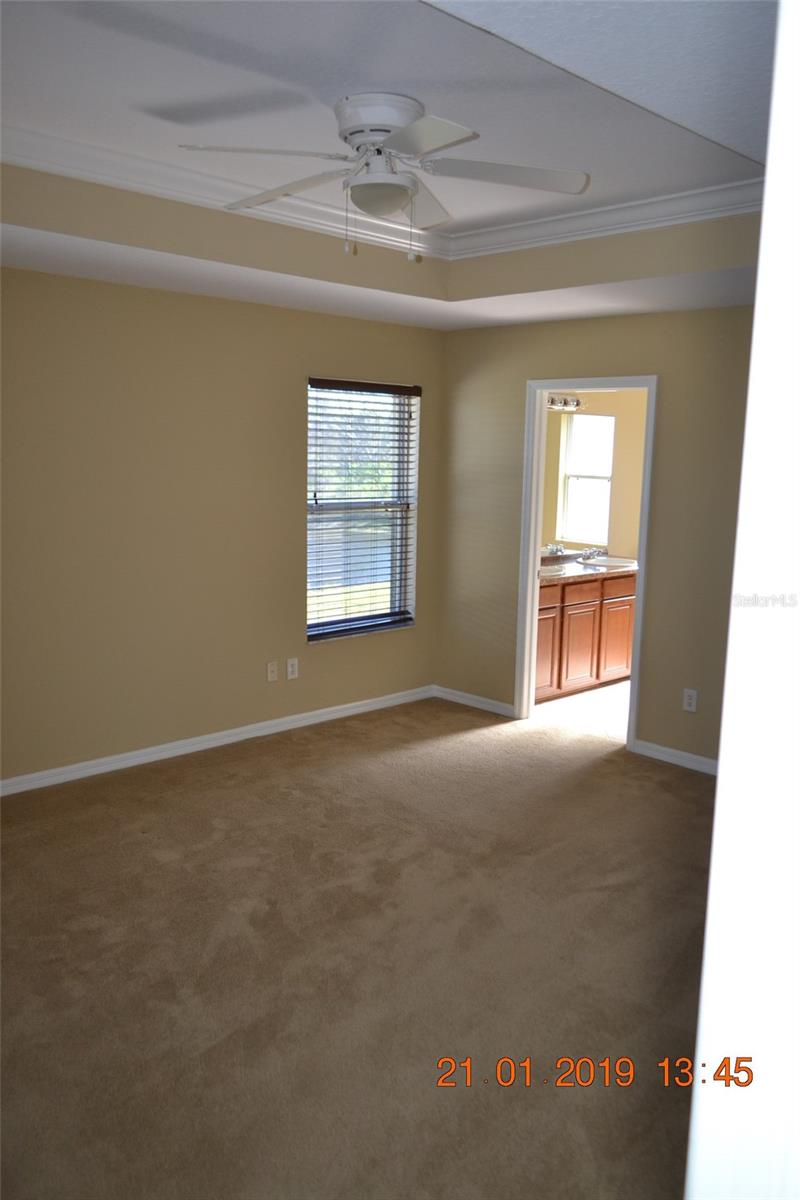 11207 MADISON PARK DR, TAMPA, FL, 33625