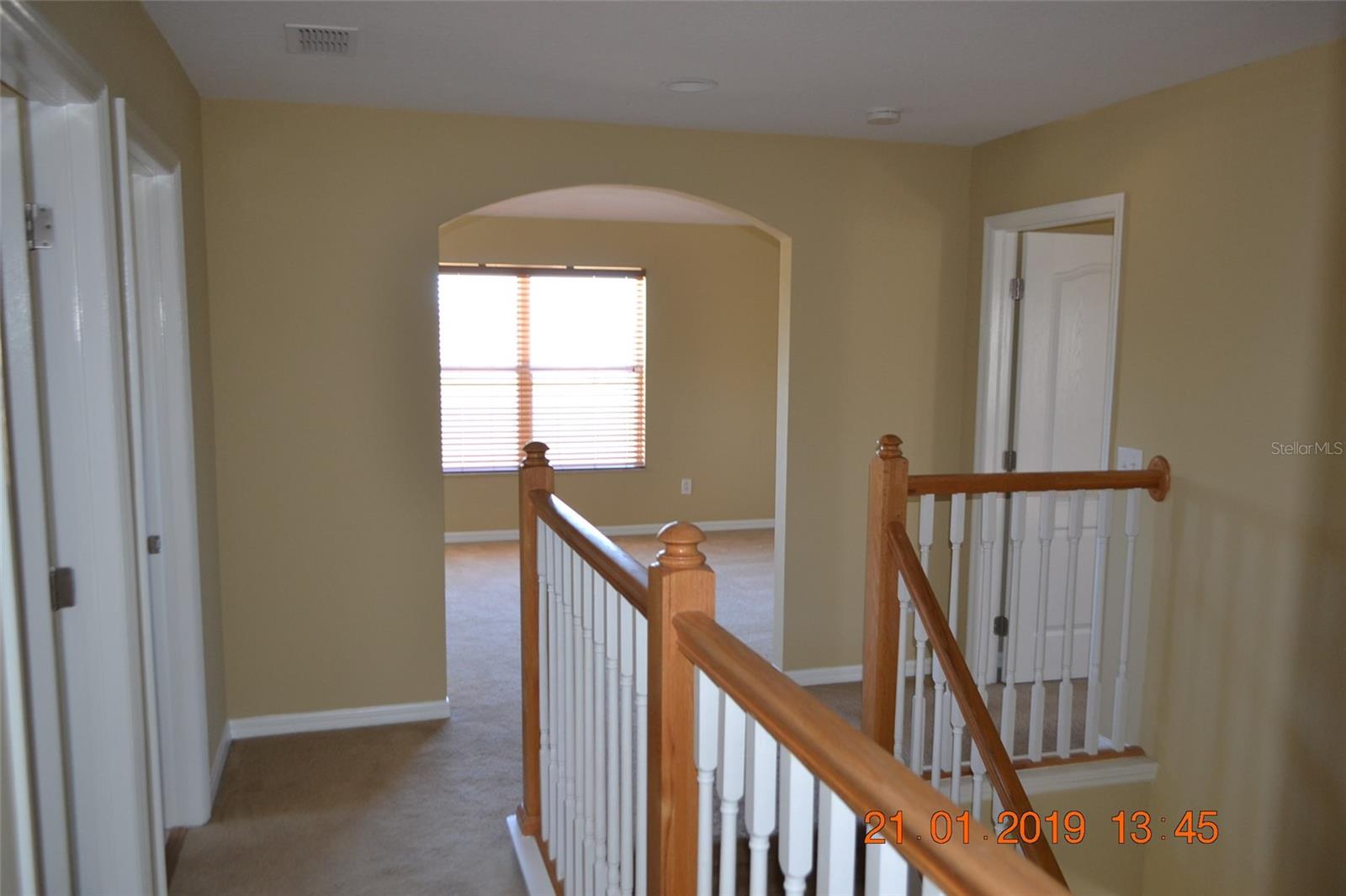 11207 MADISON PARK DR, TAMPA, FL, 33625