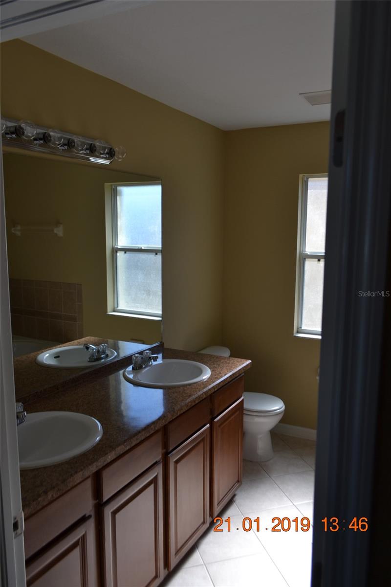 11207 MADISON PARK DR, TAMPA, FL, 33625