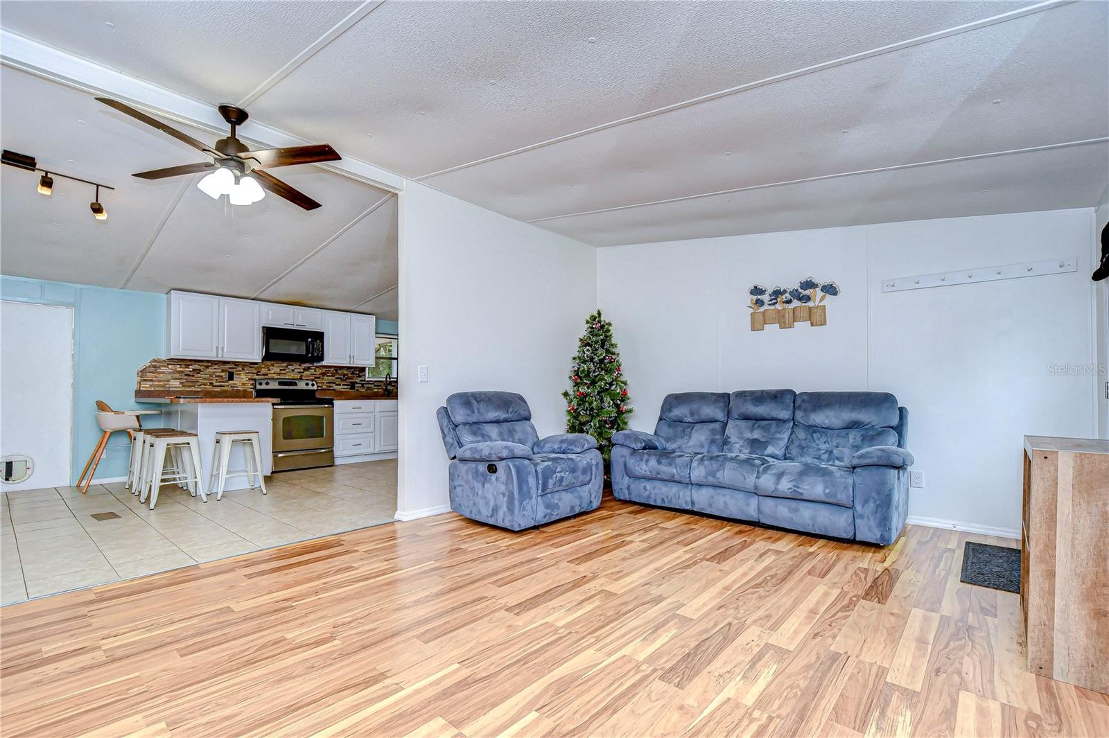 33933 TERRACE BLVD, WESLEY CHAPEL, FL, 33543