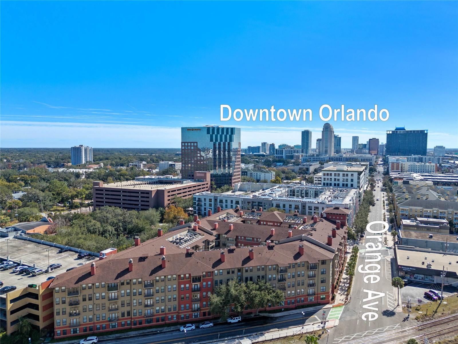 911 N ORANGE AVE #309, ORLANDO, FL, 32801