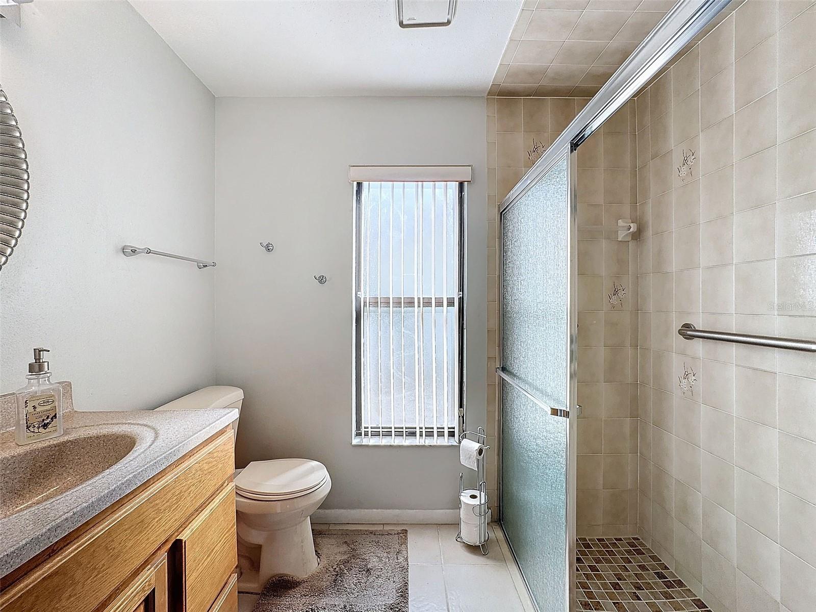 11729 WHITE ASH DR, NEW PORT RICHEY, FL, 34654