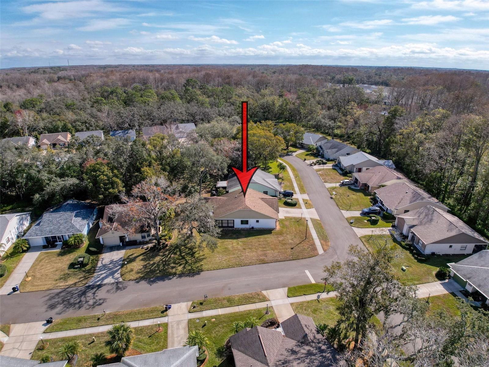 11729 WHITE ASH DR, NEW PORT RICHEY, FL, 34654