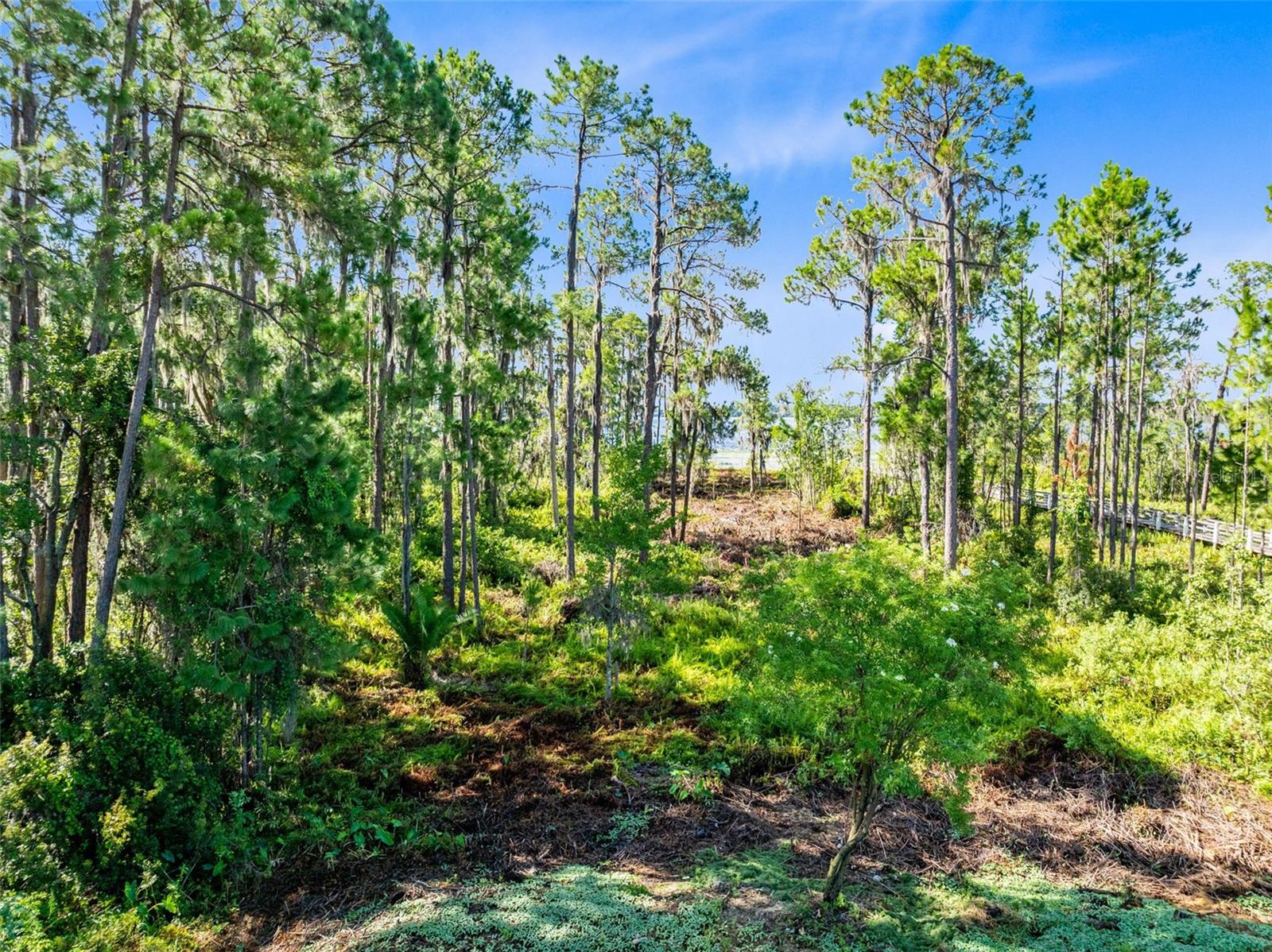 9151 TIBET POINTE CIR, WINDERMERE, FL, 34786