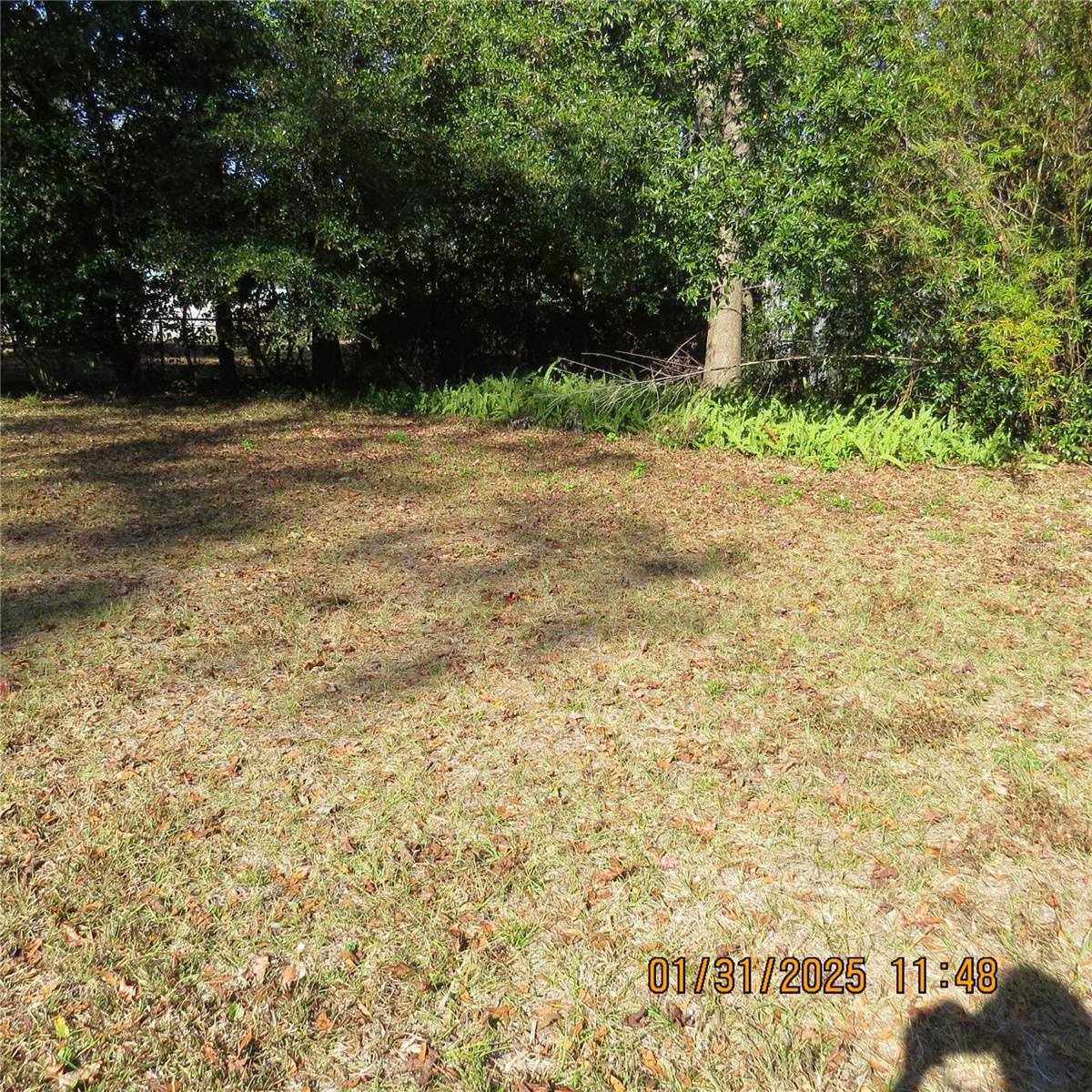 3146 NW 46 PL, GAINESVILLE, FL, 32605
