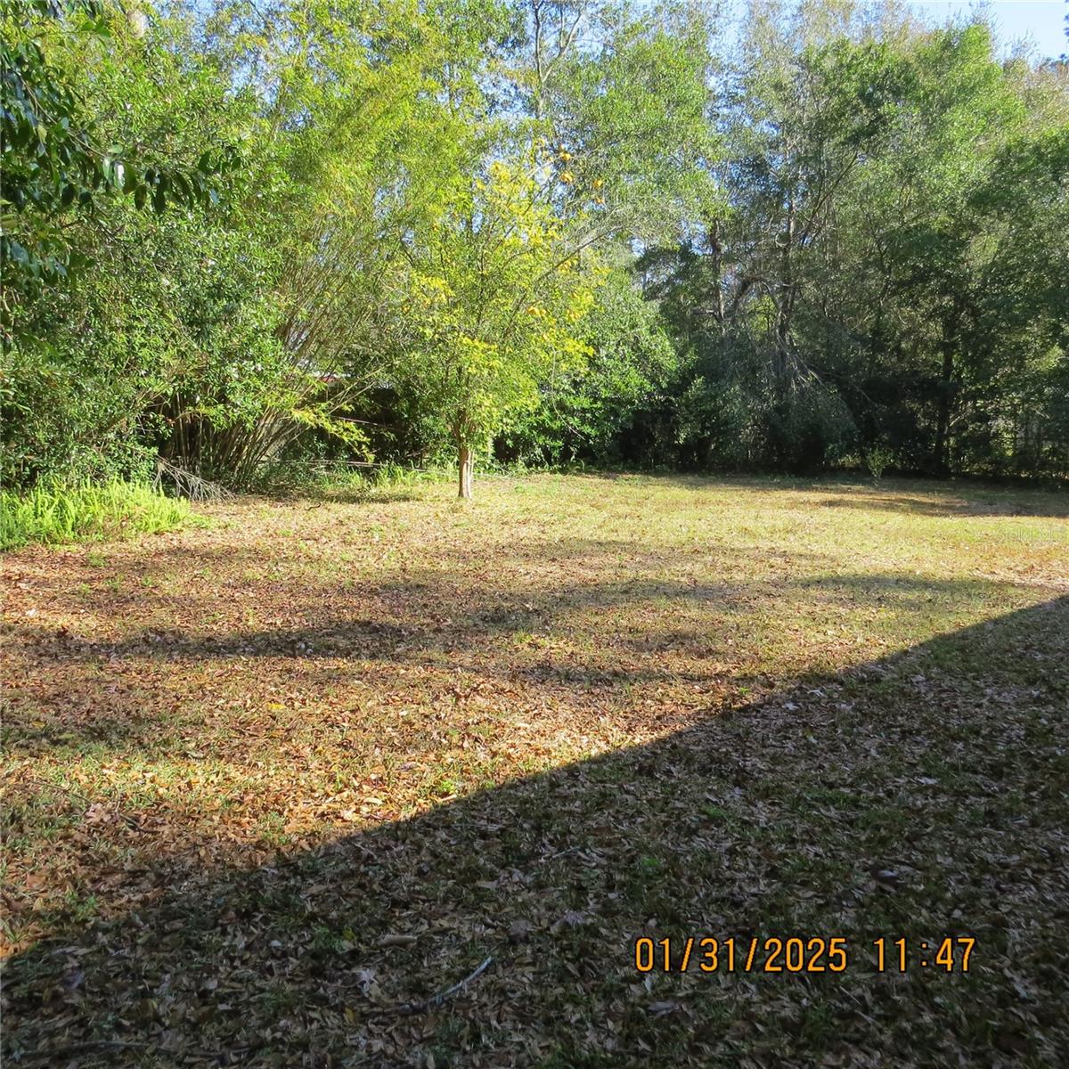3146 NW 46 PL, GAINESVILLE, FL, 32605