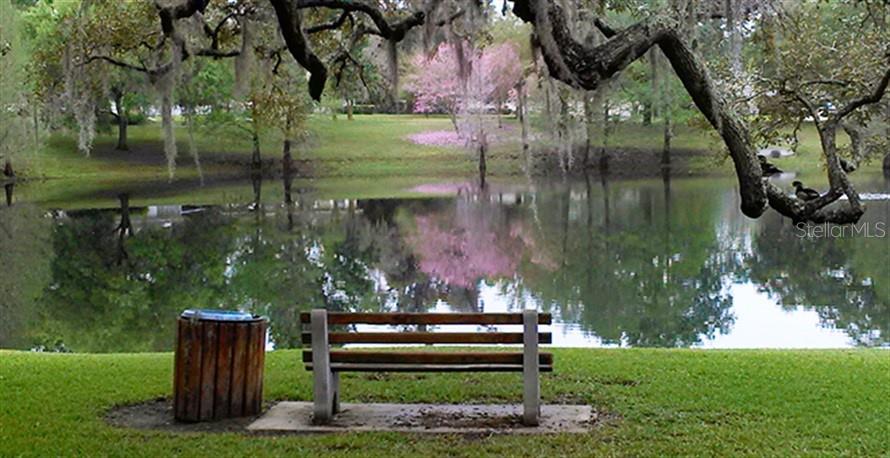 3118 CLEMWOOD ST, ORLANDO, FL, 32803