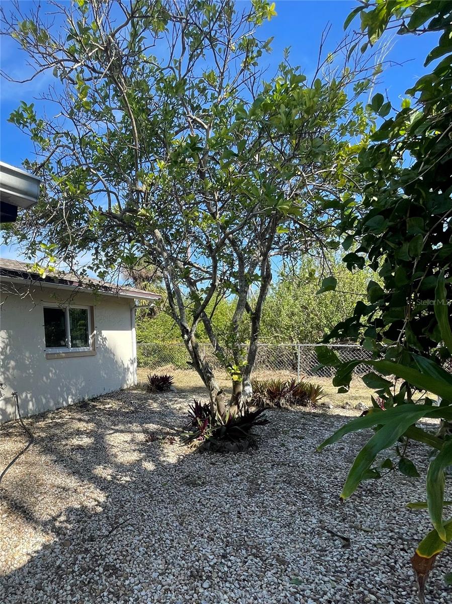 3583 TANGELO DR, ST JAMES CITY, FL, 33956