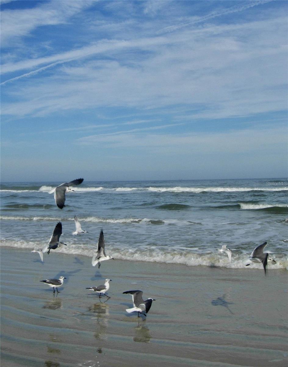 18 BRISTOL DR, PALM COAST, FL, 32137