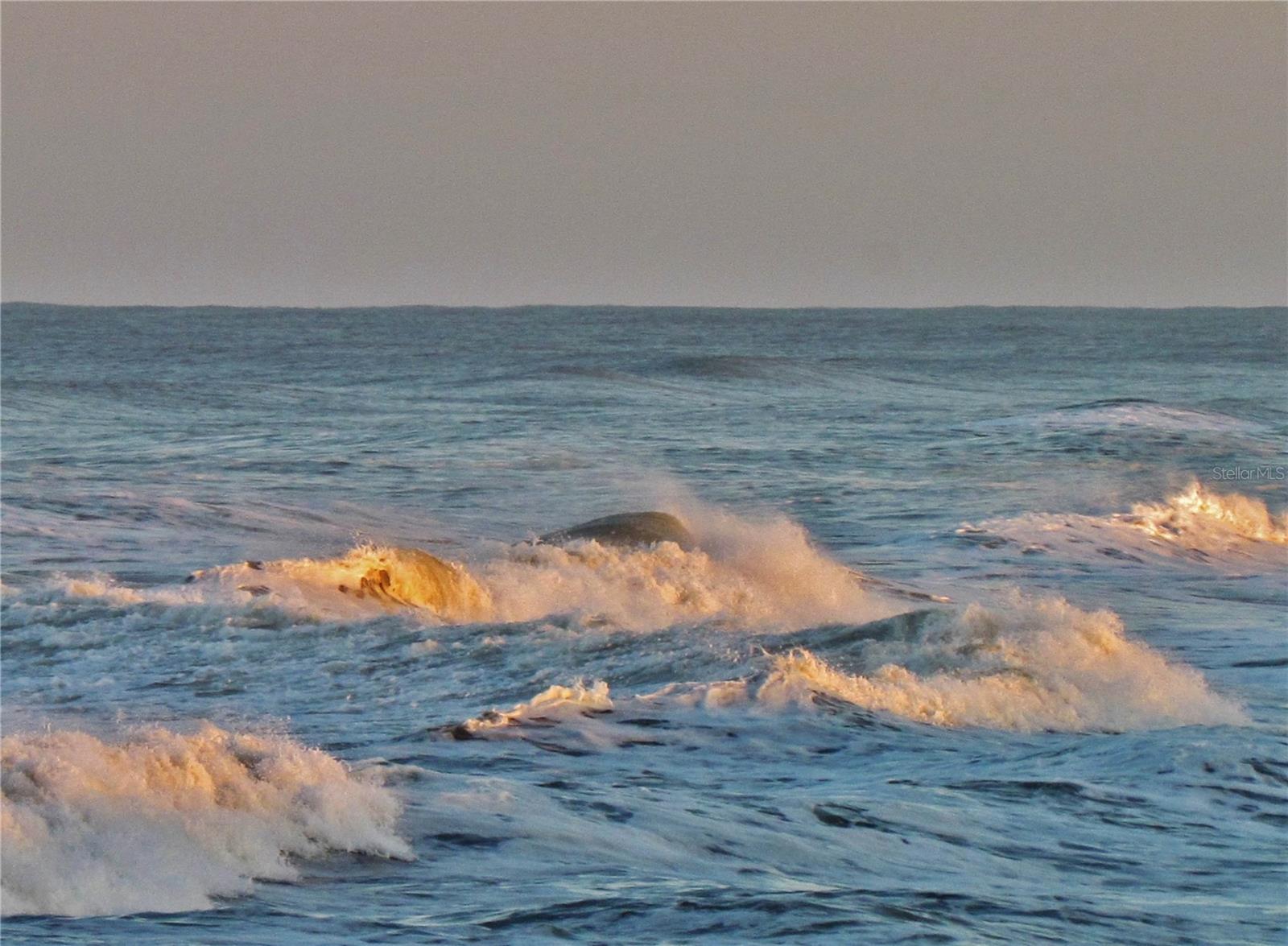 18 BRISTOL DR, PALM COAST, FL, 32137