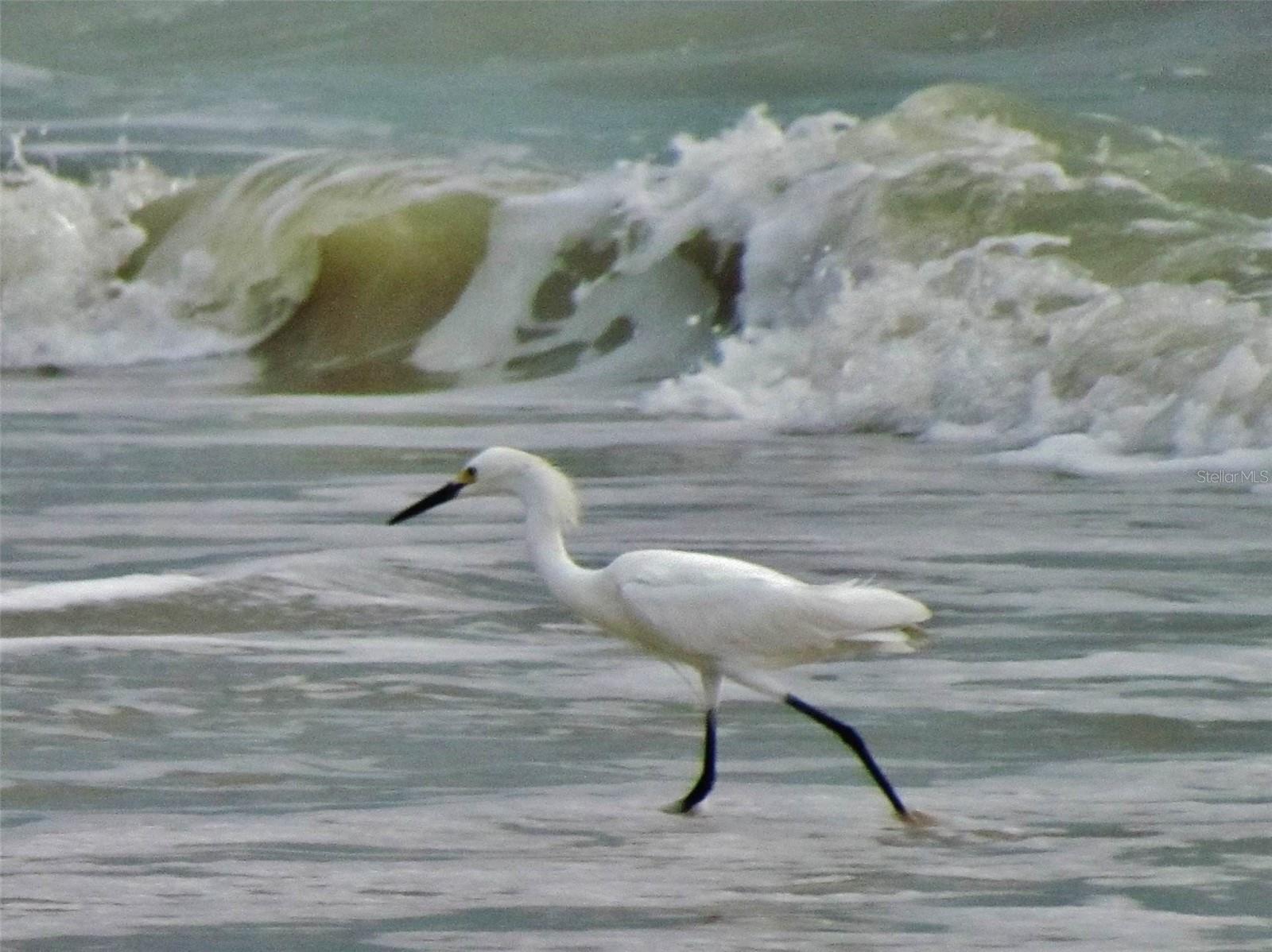 18 BRISTOL DR, PALM COAST, FL, 32137