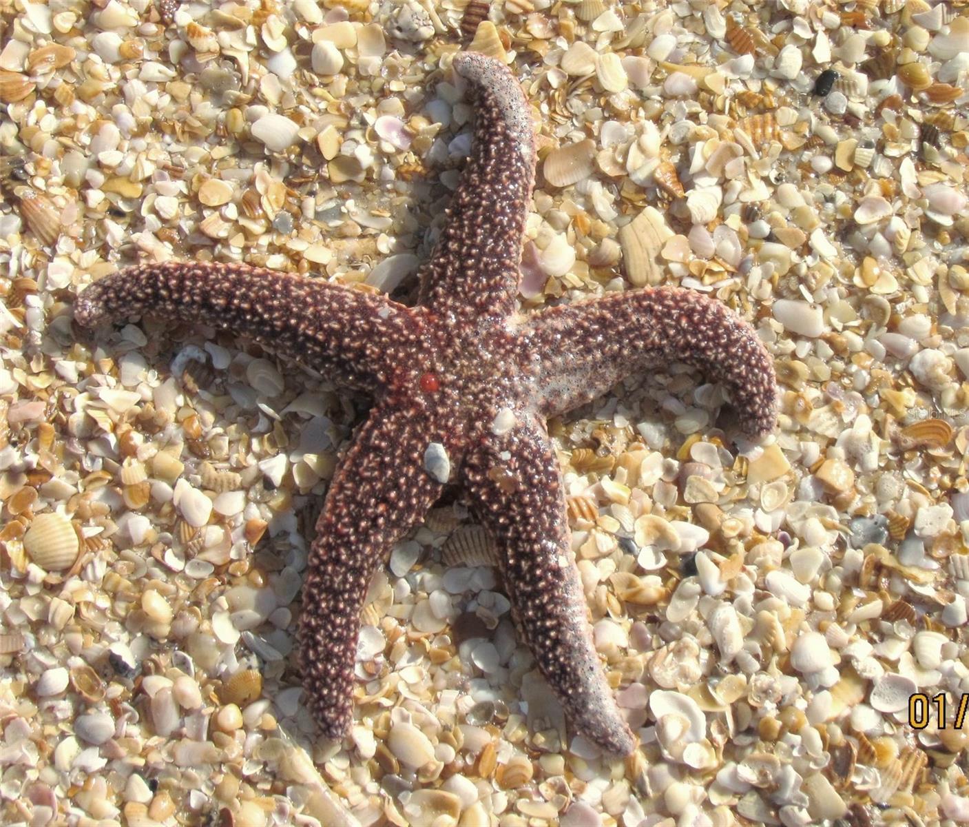 18 BRISTOL DR, PALM COAST, FL, 32137