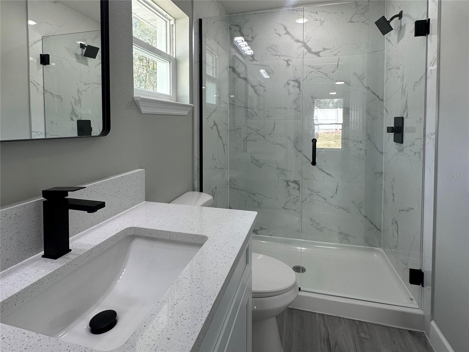 3839 SE 132ND PL, BELLEVIEW, FL, 34420