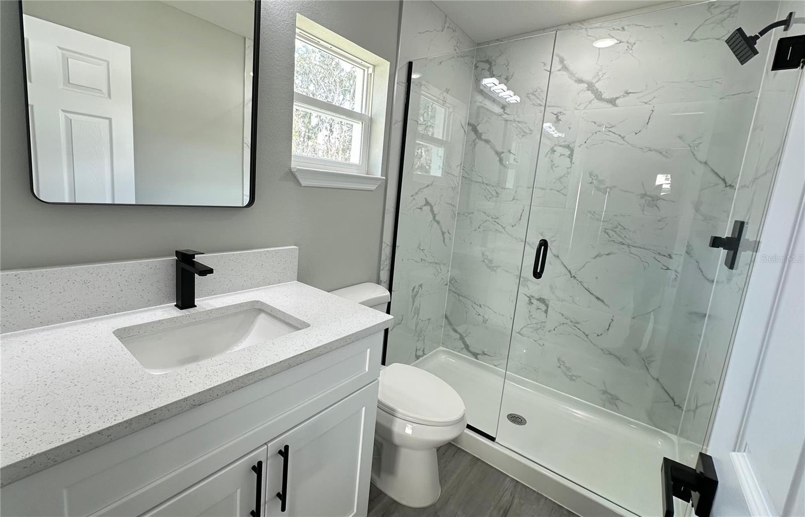 3839 SE 132ND PL, BELLEVIEW, FL, 34420