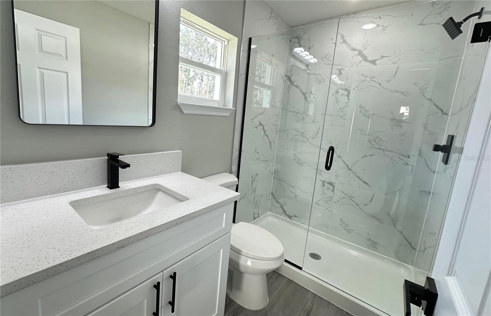 3839 SE 132ND PL, BELLEVIEW, FL, 34420