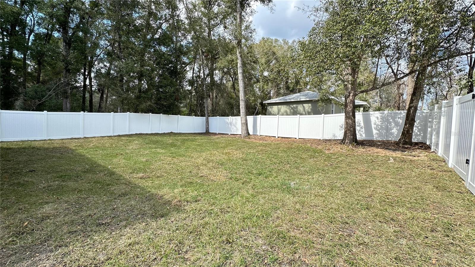 3839 SE 132ND PL, BELLEVIEW, FL, 34420