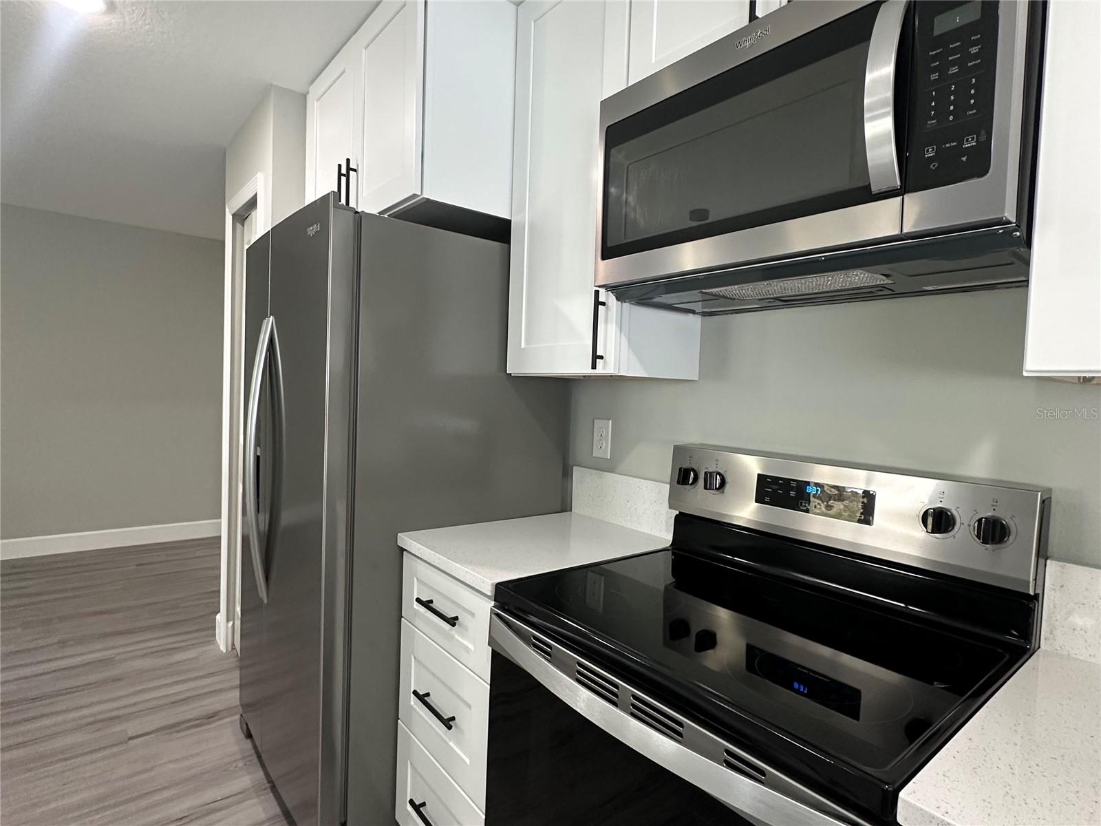 3839 SE 132ND PL, BELLEVIEW, FL, 34420