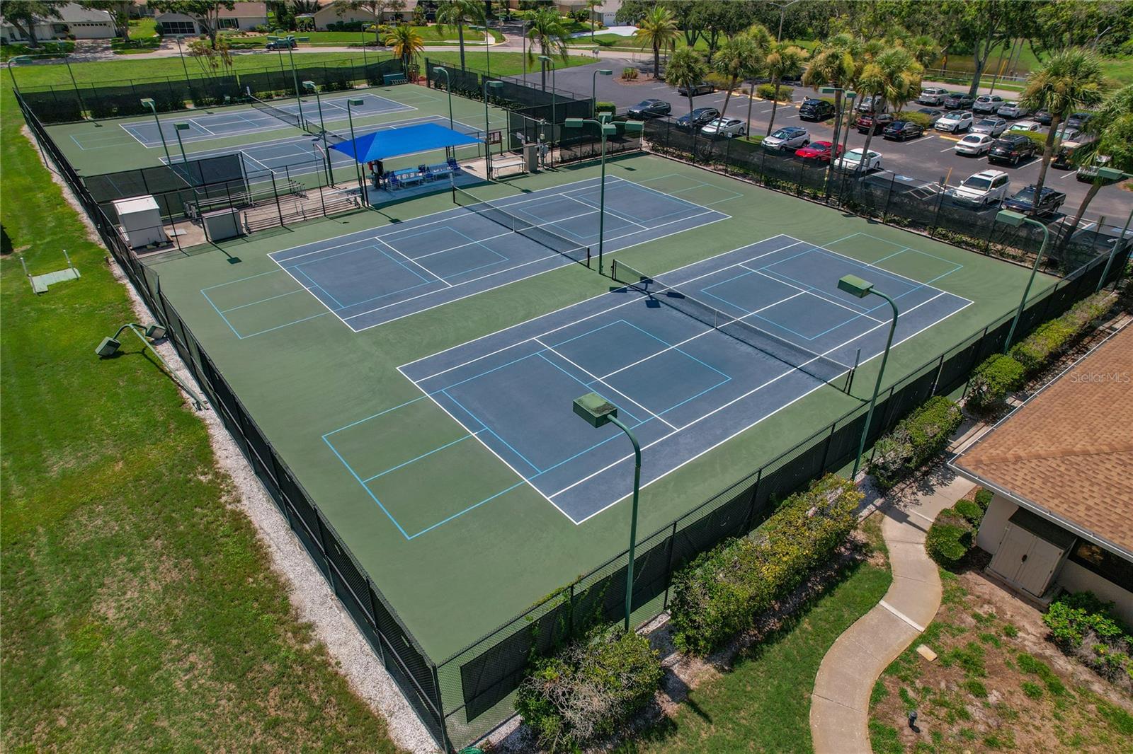 3305 GORSE CT, PALM HARBOR, FL, 34684