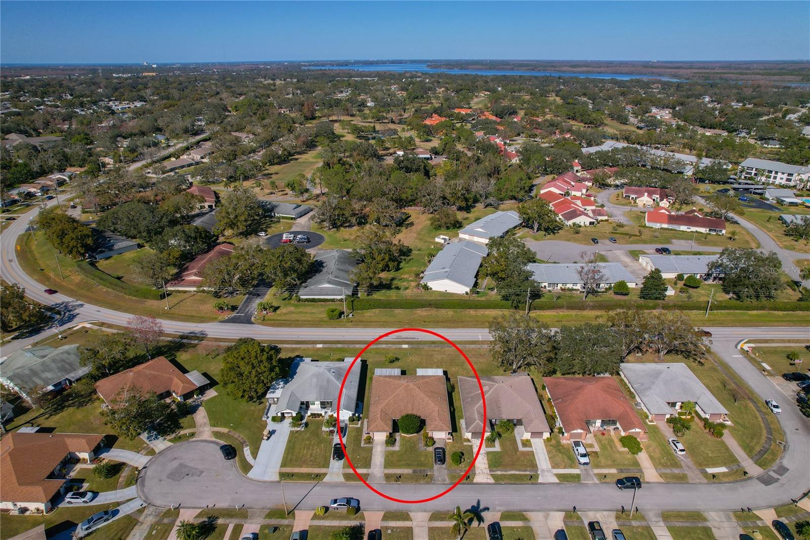 3305 GORSE CT, PALM HARBOR, FL, 34684