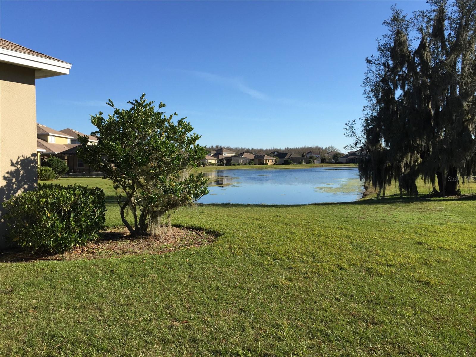 8963 HANDEL LOOP, LAND O LAKES, FL, 34637