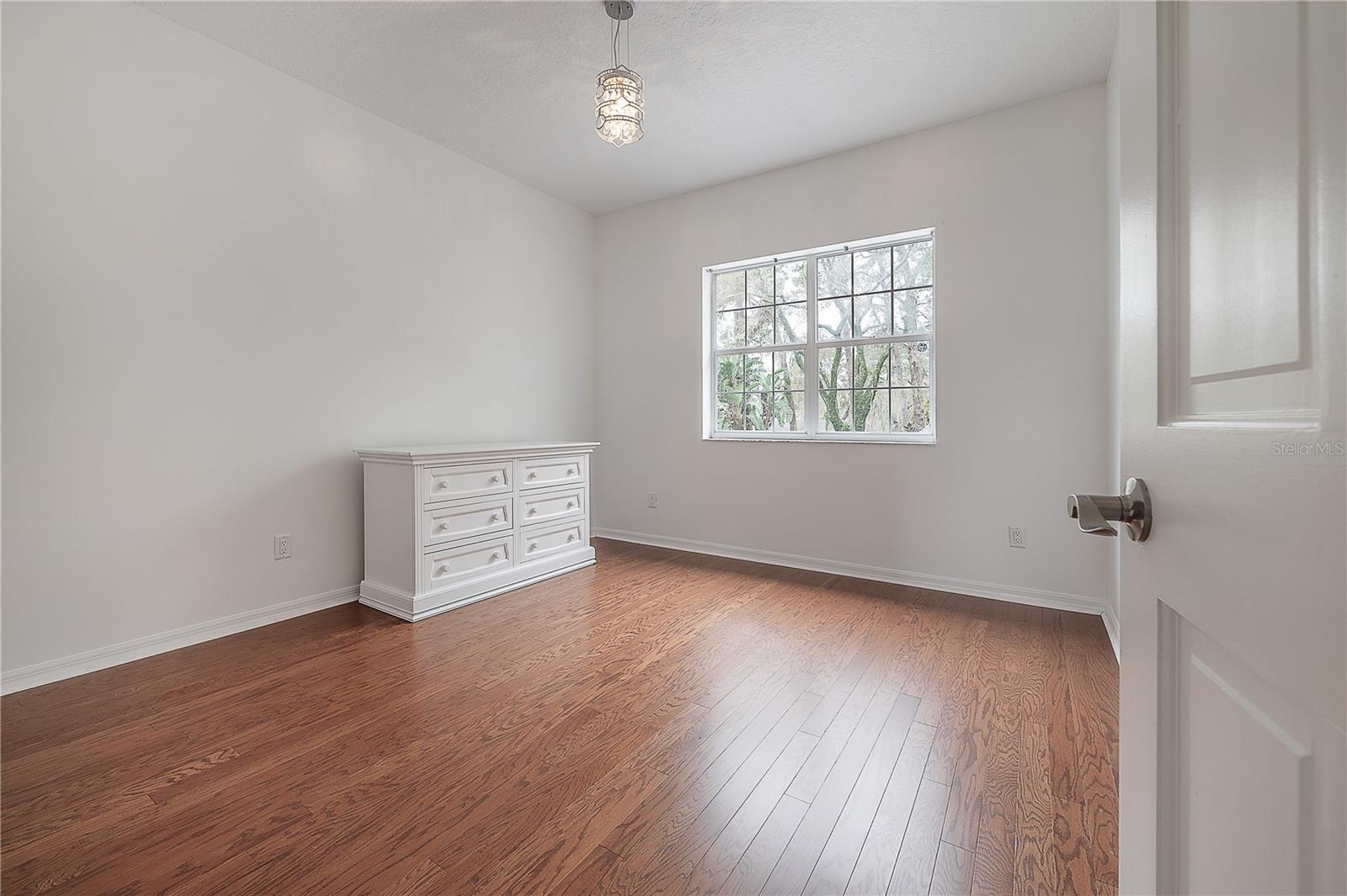 12908 CINNIMON PL, TAMPA, FL, 33624