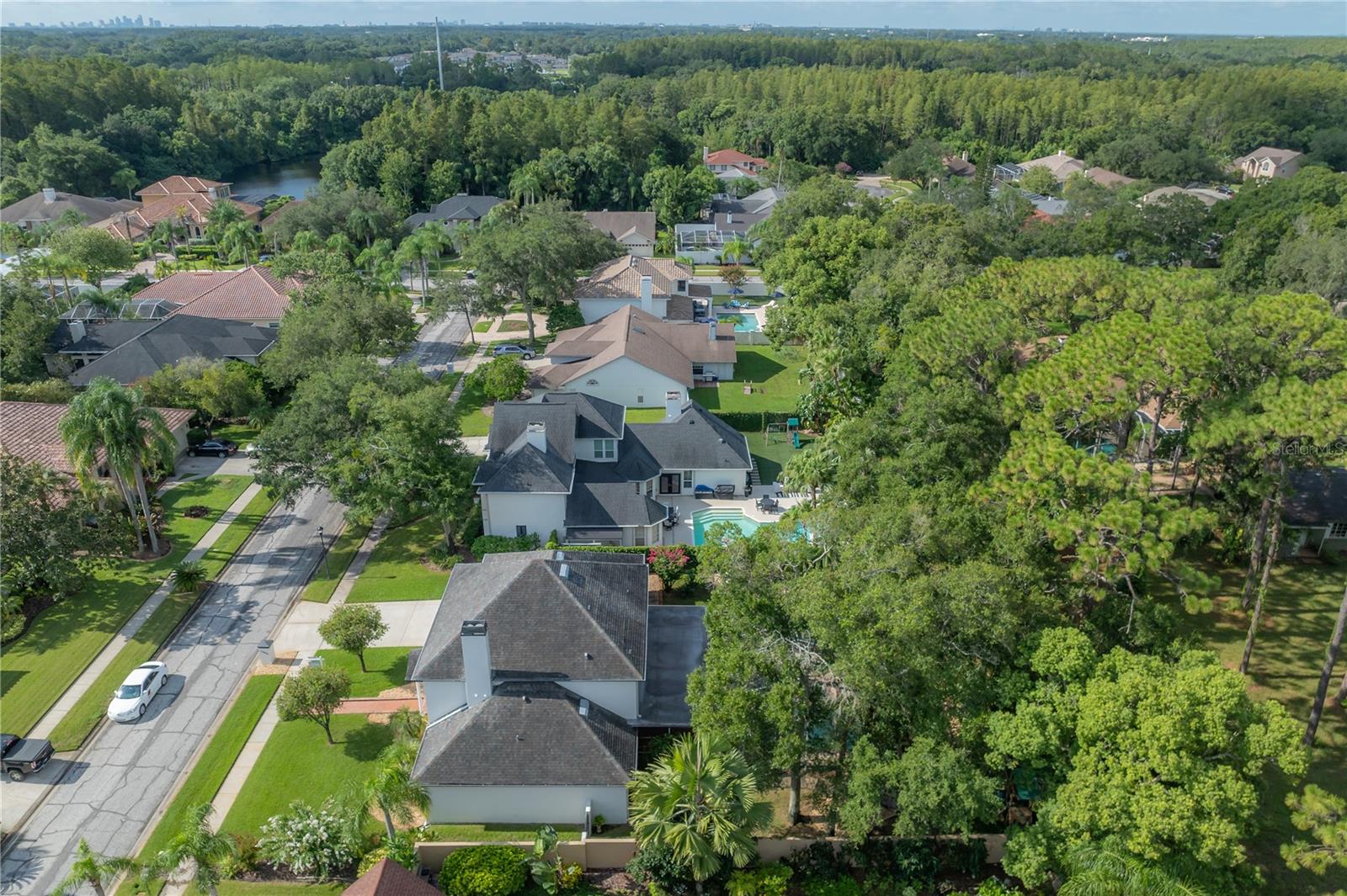 12908 CINNIMON PL, TAMPA, FL, 33624