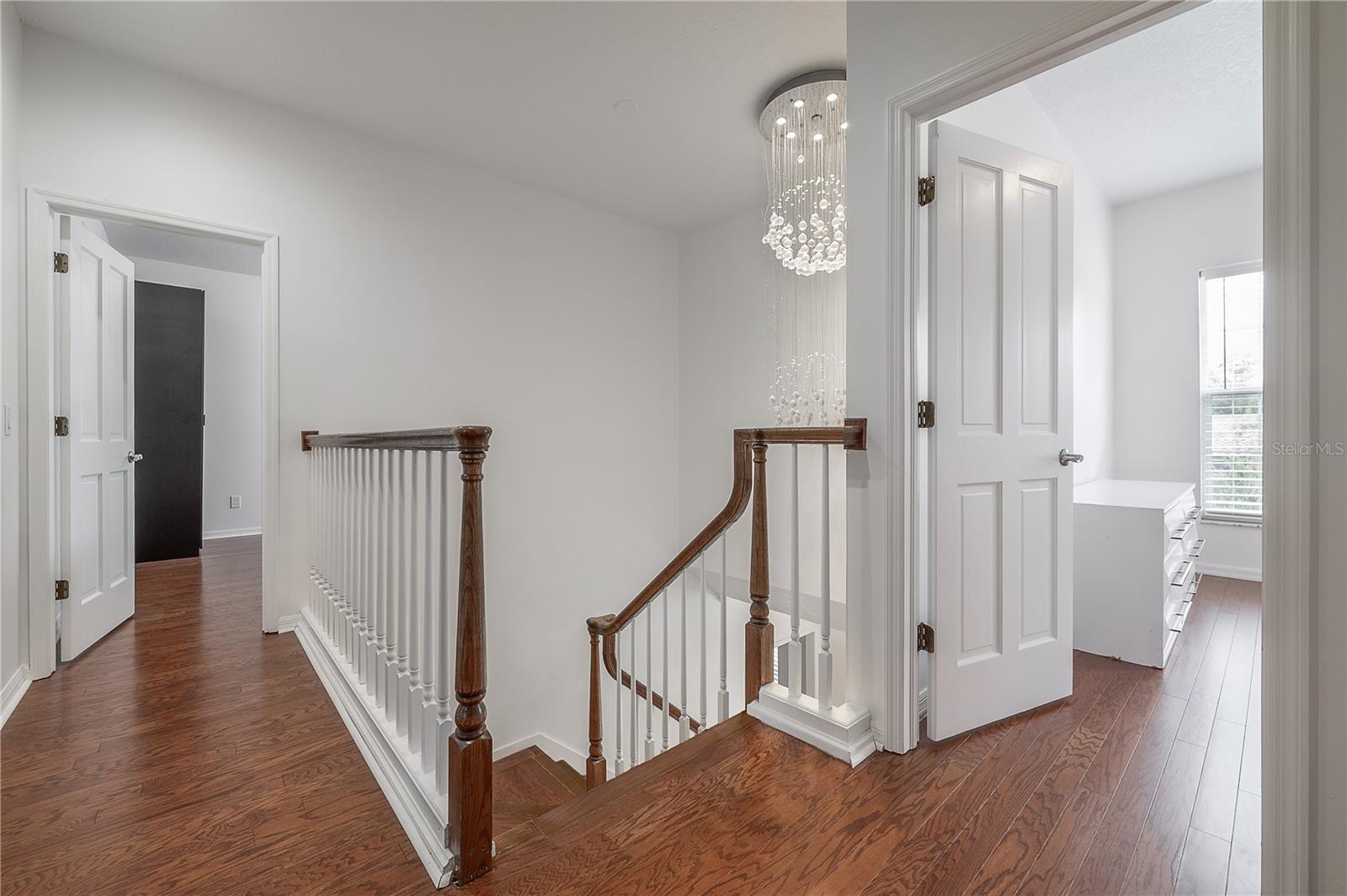 12908 CINNIMON PL, TAMPA, FL, 33624