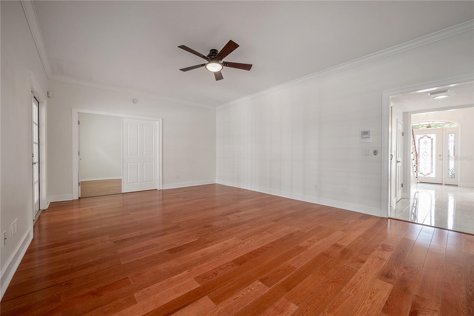 12908 CINNIMON PL, TAMPA, FL, 33624