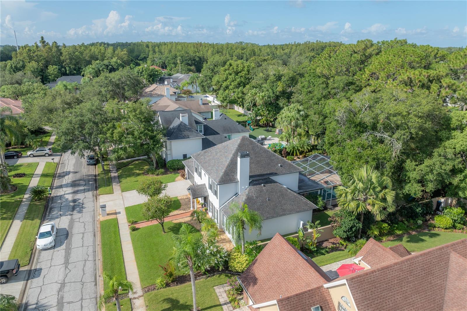 12908 CINNIMON PL, TAMPA, FL, 33624