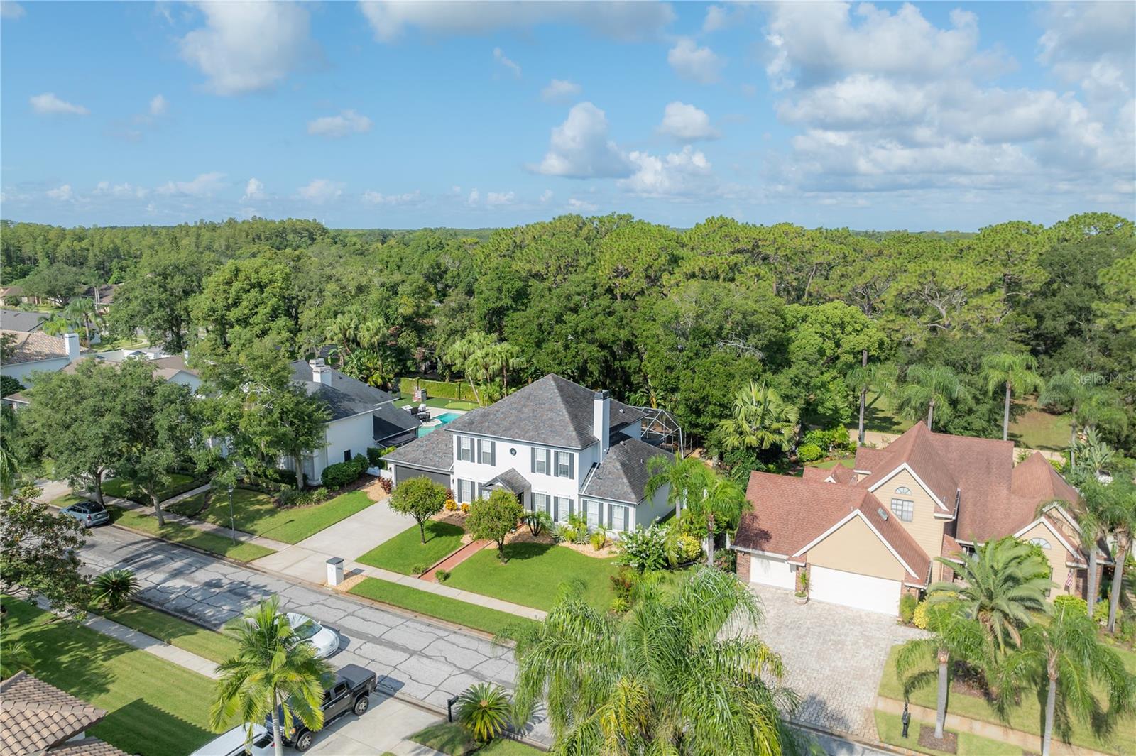 12908 CINNIMON PL, TAMPA, FL, 33624