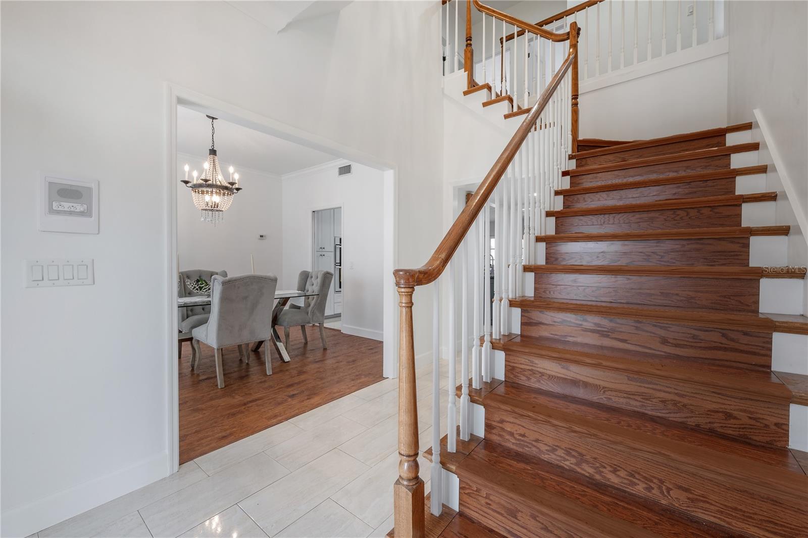 12908 CINNIMON PL, TAMPA, FL, 33624