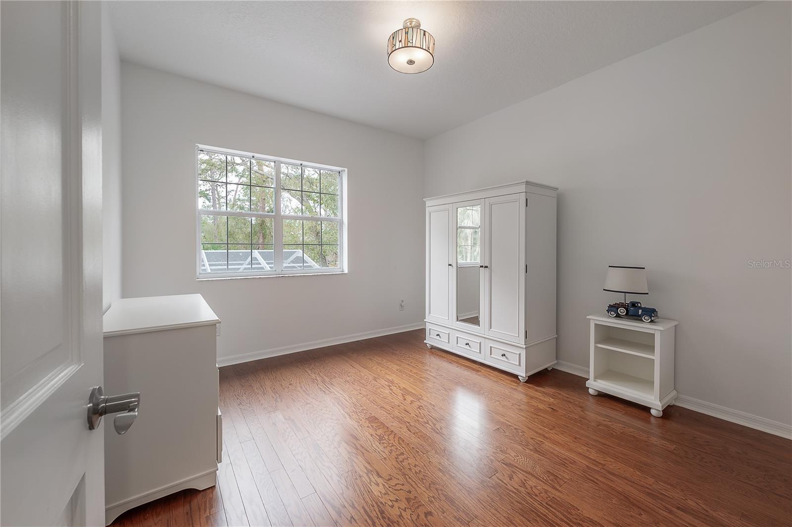 12908 CINNIMON PL, TAMPA, FL, 33624