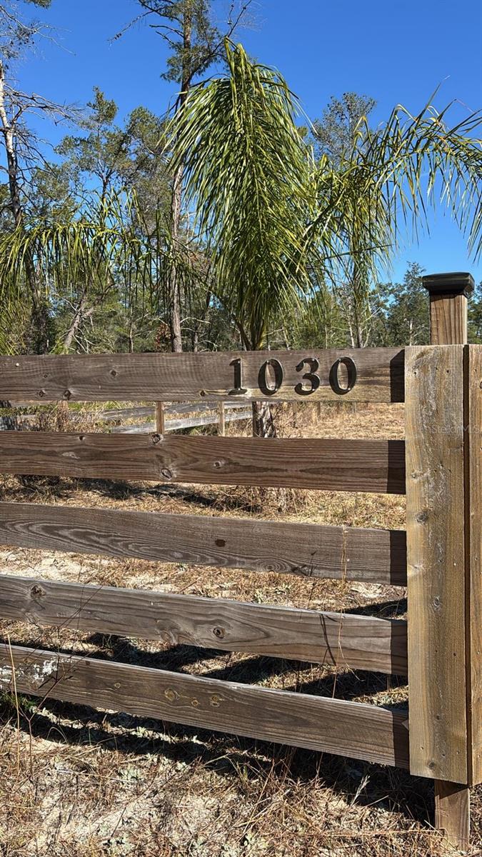 1030 PINEAPPLE ST, POMONA PARK, FL, 32181