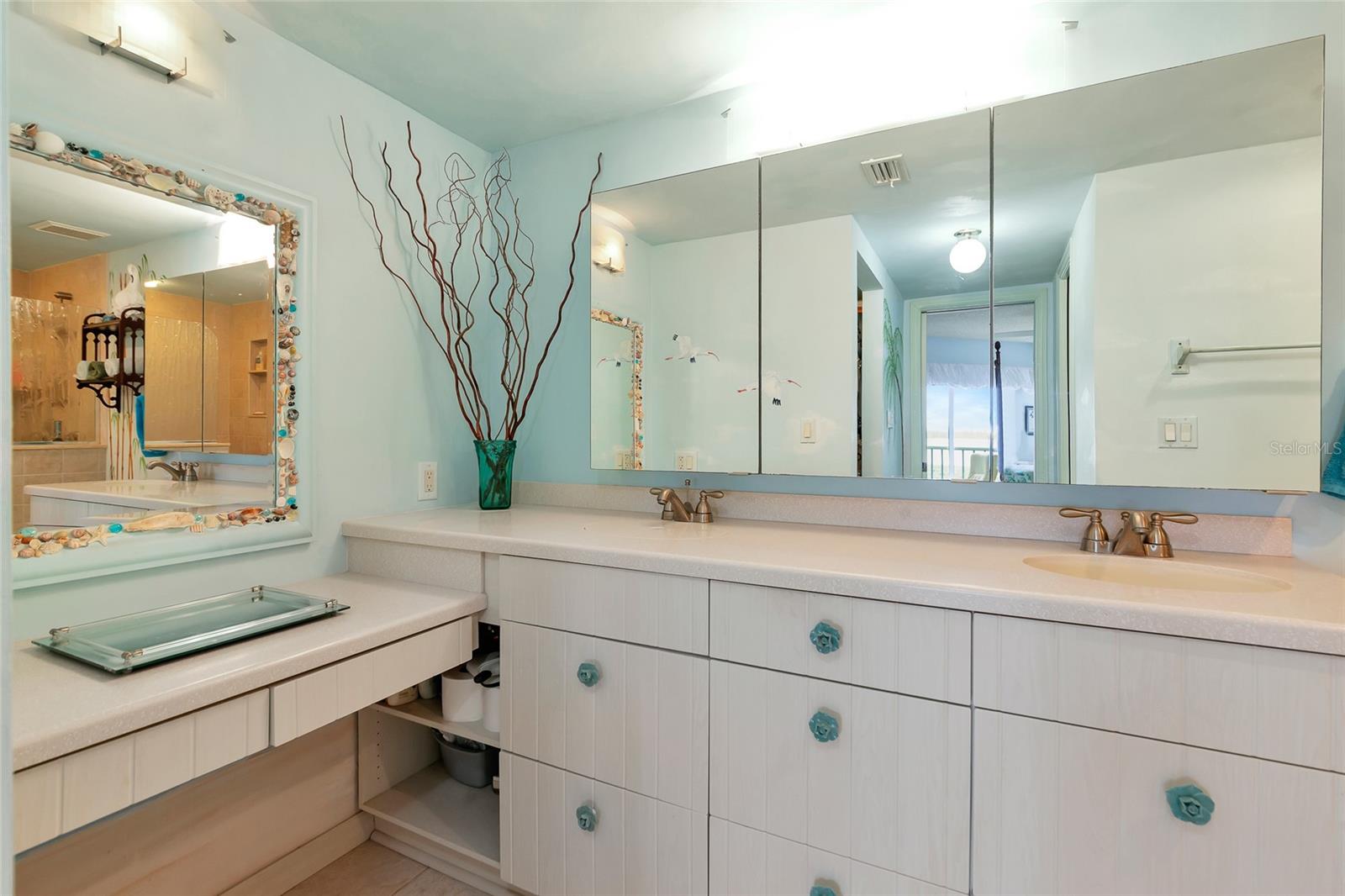 1341 PERICO POINT CIR #116, BRADENTON, FL, 34209