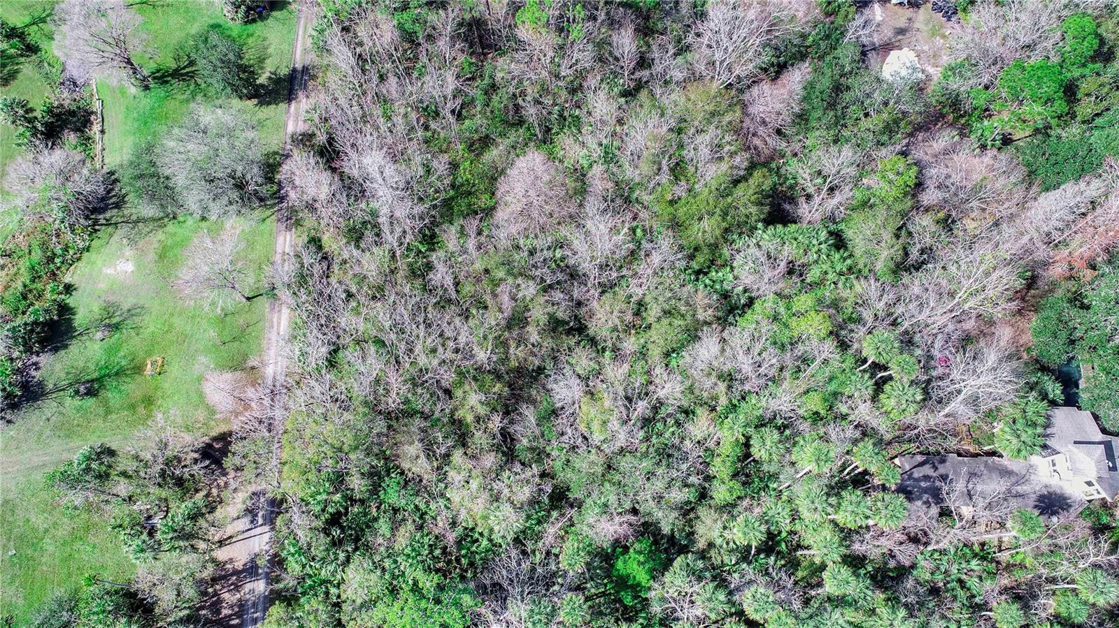 2905 JB CARTER RD, DAVENPORT, FL, 33837