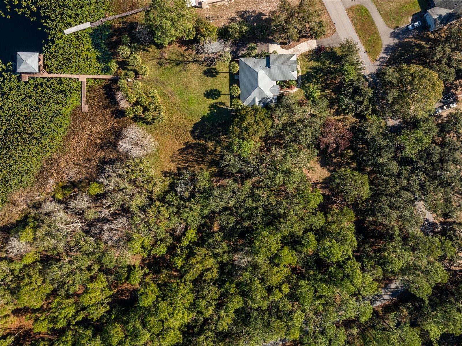 9229 LAKE HICKORY NUT DR, WINTER GARDEN, FL, 34787