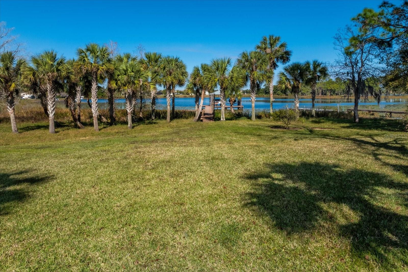 9229 LAKE HICKORY NUT DR, WINTER GARDEN, FL, 34787