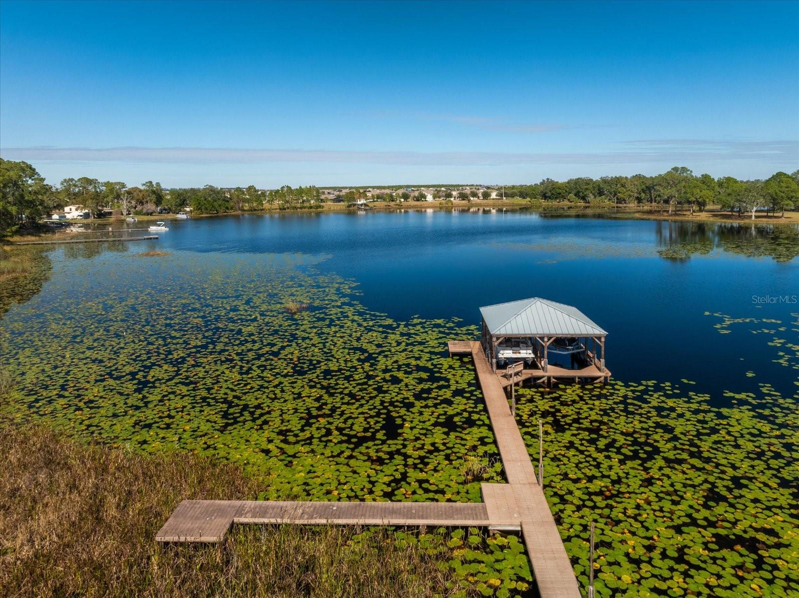 9229 LAKE HICKORY NUT DR, WINTER GARDEN, FL, 34787